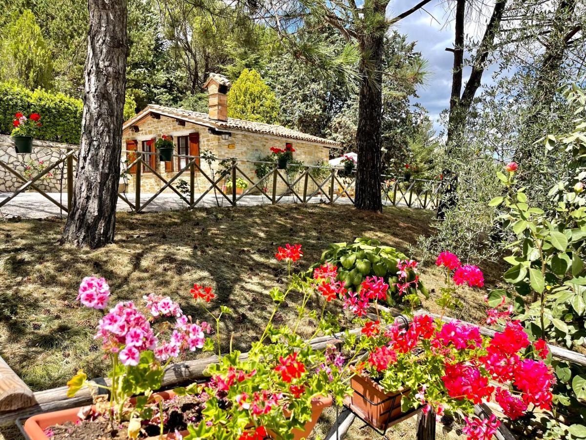 La Panoramica Gubbio - Maison De Charme - Casette E Appartamenti Self Catering Per Vacanze Meravigliose! Extérieur photo