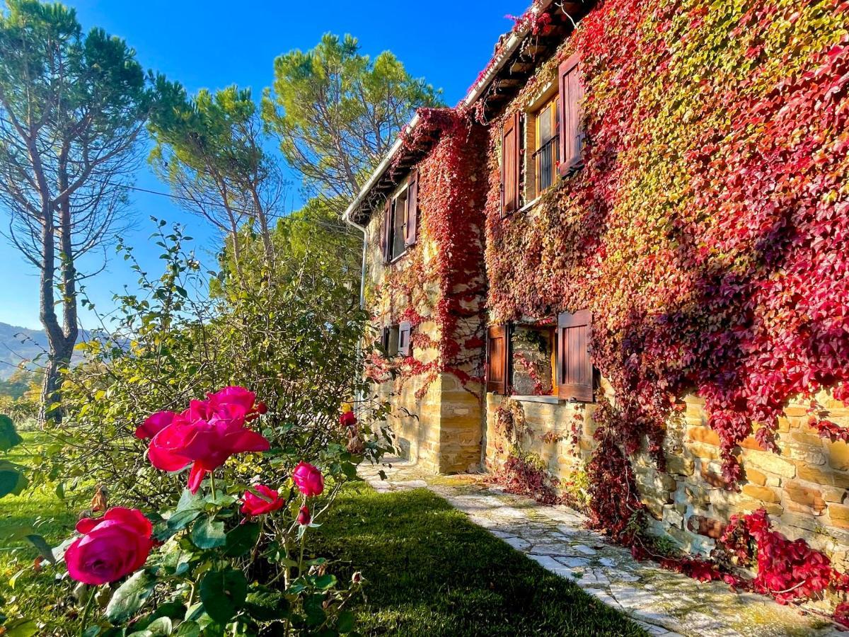 La Panoramica Gubbio - Maison De Charme - Casette E Appartamenti Self Catering Per Vacanze Meravigliose! Extérieur photo