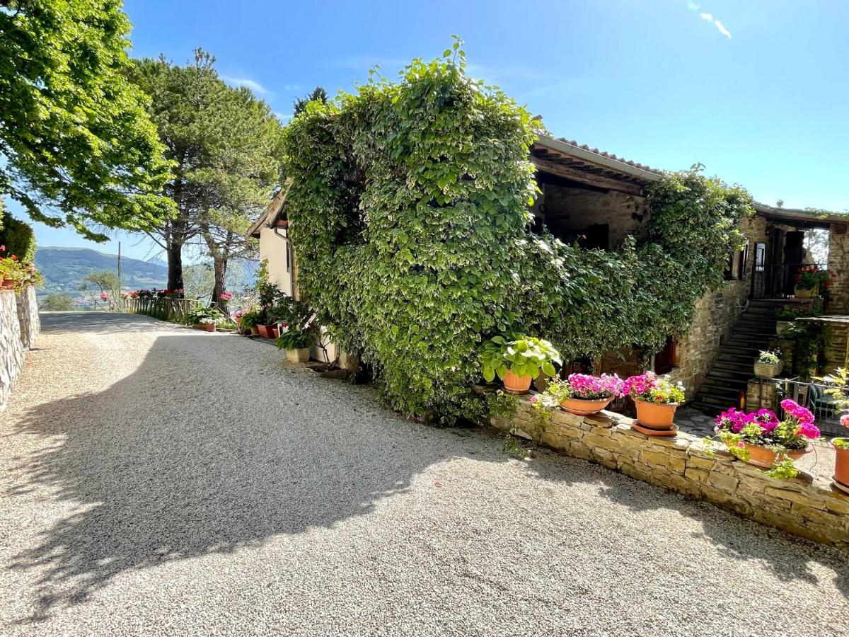 La Panoramica Gubbio - Maison De Charme - Casette E Appartamenti Self Catering Per Vacanze Meravigliose! Extérieur photo